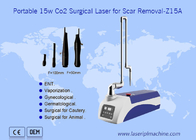 Máquina quirúrgica del retiro de la cicatriz de la piel del laser del CO2 portátil 10600nm para los animales domésticos