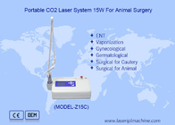 Dispositivo quirúrgico portátil de láser de CO2 de LCD veterinario para cirugía animal