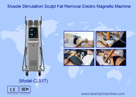 7 Tesla Electromagnético RF Ems estimulación muscular máquina de escultura corporal