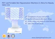 PDT llevó la máquina portátil L5-Alina del rejuvenecimiento de la piel para la máquina de la belleza