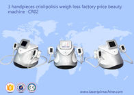 3 Handpieces Cryolipolysis que adelgaza el equipo CR02 de la belleza de la pérdida de peso de la máquina