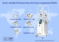 Doble de congelación gordo Chine Removal Cryolipolysis Machine