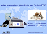 Función multifuncional blanca del uso del diodo 980nm de la máquina portátil animal del laser