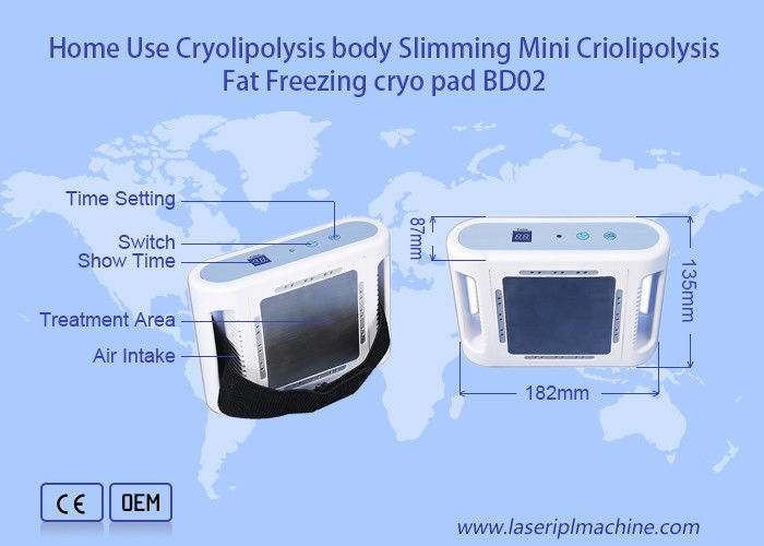 Cryolipolysis portátil que adelgaza el mini cuerpo de la máquina que adelgaza esculpiendo el dispositivo gordo de la pérdida