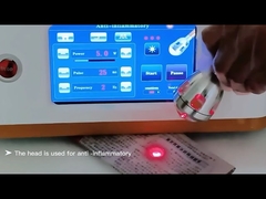 Máquina de eliminación veterinaria con láser de diodo portátil de 980 nm para uso clínico RBS05