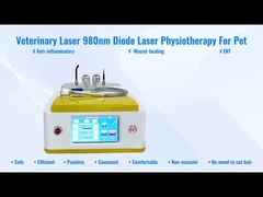 Terapia veterinaria del laser del laser del diodo de RBS05 980nm para la curación de la herida de los animales domésticos