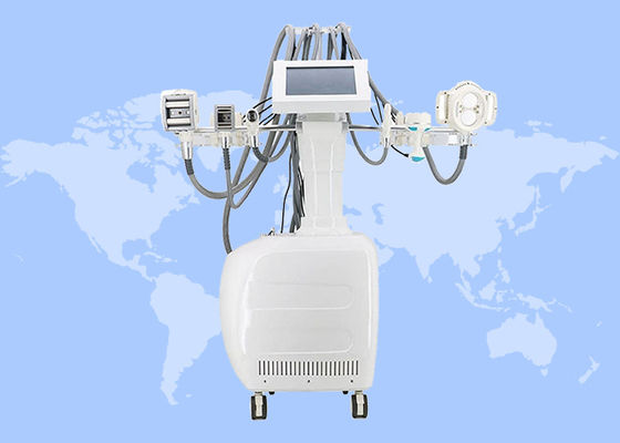 La pérdida gorda y de las celulitis de la reducción de peso trabaja a máquina la máquina de teoría del vacío