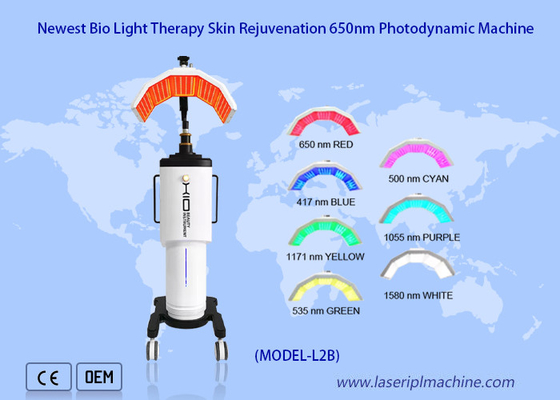 La más reciente máquina fotodinámica para el rejuvenecimiento de la piel con terapia de luz biológica de 650nm.