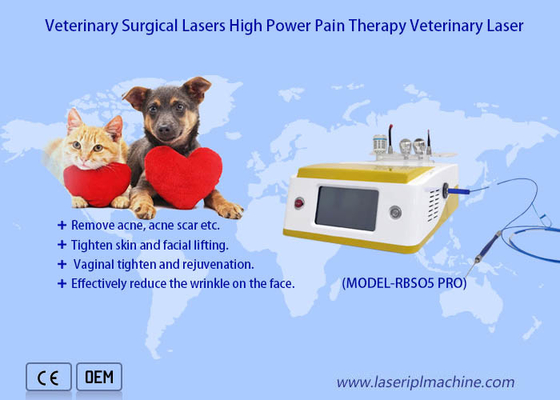 Los animales domésticos duelen el dispositivo veterinario del laser de la terapia del laser del diodo quirúrgico 980nm de la recuperación