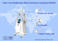 Pérdida de peso Cryolipolysis que adelgaza el Liposuction de congelación gordo 80kpa de la máquina