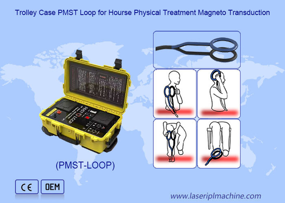 Fisioterapia Magneto Terapia de campo magnético con oscilación de 4500 HZ