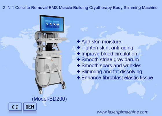 EMS RF Construcción muscular 40k Cavitación 360 Máquina de congelación de grasa de crioterapia