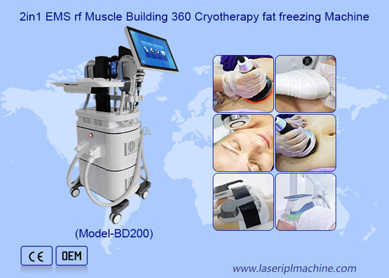 EMS RF Construcción muscular 40k Cavitación 360 Máquina de congelación de grasa de crioterapia