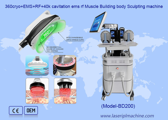 2 en 1 Eliminación de celulitis EMS Construcción muscular Crioterapia Máquina de adelgazamiento corporal