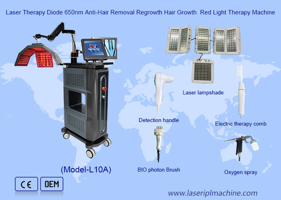 Laser Therapy Máquina de terapia de luz roja Diodo 650nm Anti depilación Crecimiento del cabello