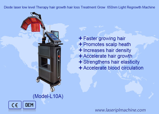 Diodo láser de bajo nivel Terapia de crecimiento del cabello Tratamiento de pérdida de cabello Crecimiento 650nm máquina de re-crecimiento de luz