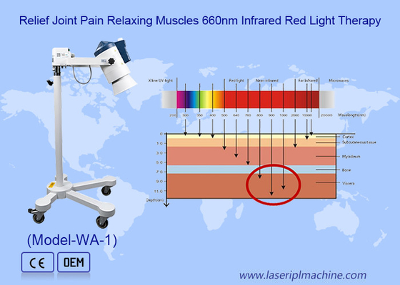 Máquina de terapia de luz infrarroja multifuncional con agua filtrada alivio del dolor muscular