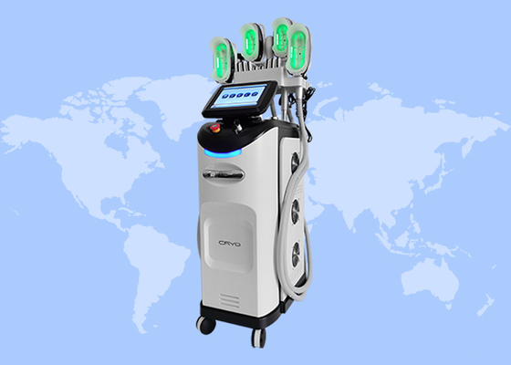 Perdida de grasa para adelgazar el cuerpo Crioterapia Escultura corporal fresca Máquina de congelación de grasa 360 Cryo