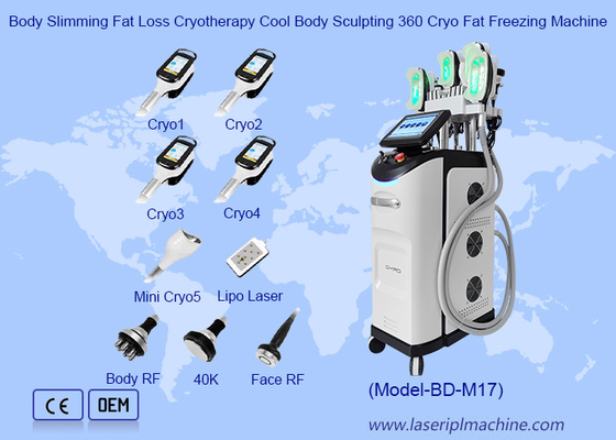 Perdida de grasa para adelgazar el cuerpo Crioterapia Escultura corporal fresca Máquina de congelación de grasa 360 Cryo