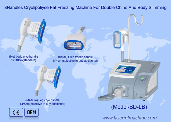 Máquina de congelación de criolipólisis para pérdida de peso con mango Cryo 360 Fat Frozen