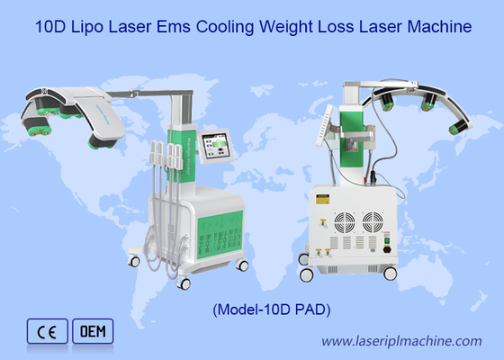 Envase cryo verde rojo 10d de eliminación de grasa con láser Maxlipo Master Device