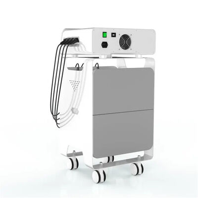 Buen precio Atención sanitaria del alivio del dolor de la parte posterior del equipo de Eswt de la radiofrecuencia del ccsme en línea