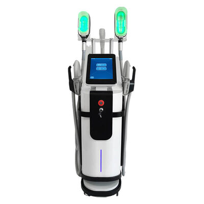 Buen precio Spa 360 Cryolipolysis Máquina de adelgazamiento congelación de grasa Electro Magnetic body Slim estimulación muscular cuerpo en línea