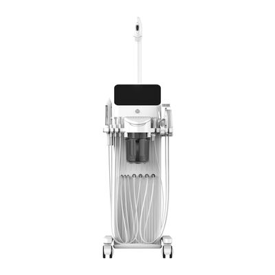 Buen precio Hydrafacial Dermabrasion de agua Peeling de la piel Blanqueamiento de la piel Aqua Oxygen Facial Machine en línea