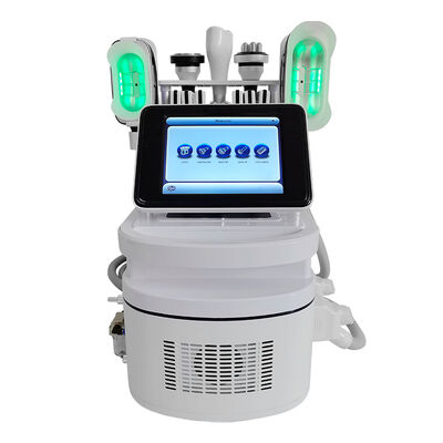 Buen precio Dispositivo frío 1Hz - 1000Hz del laser del diodo portátil 650nm para el retiro de las celulitis en línea