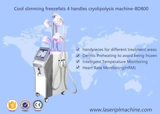 Buen precio Máquina de Cryolipolysis de la pérdida de peso de 4 manijas/cavitación de congelación gorda del vacío que adelgaza la máquina en línea