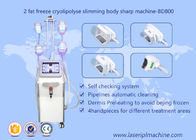 Cuerpo Cryolipolysis de la forma que adelgaza la máquina, equipo de la belleza de Lipo Cryo Cryolipolysis