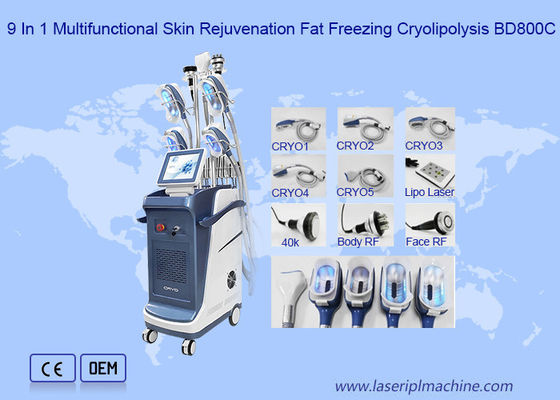 laser Cryo del RF Lipo de la cavitación 40K que adelgaza la máquina