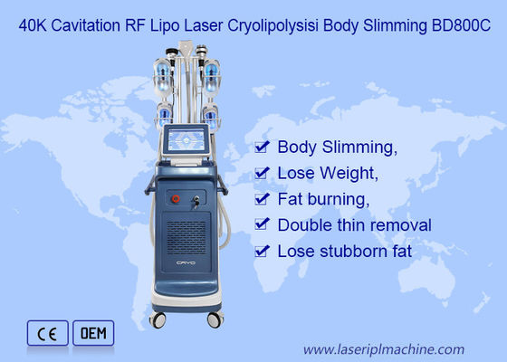 9 en 1 vacío 800VA Cryolipolysis que adelgaza la máquina