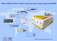 retiro del pelo del laser del diodo de 650nm 810nm 980nm 1064nm portátil para el uso animal