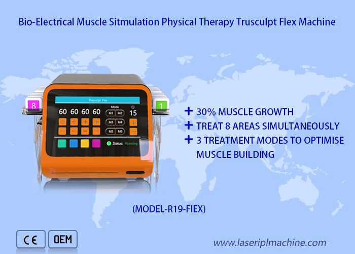 Músculo no quirúrgico que esculpe el cuerpo de la máquina del estímulo del músculo del ccsme que forma la flexión de Trusculpt