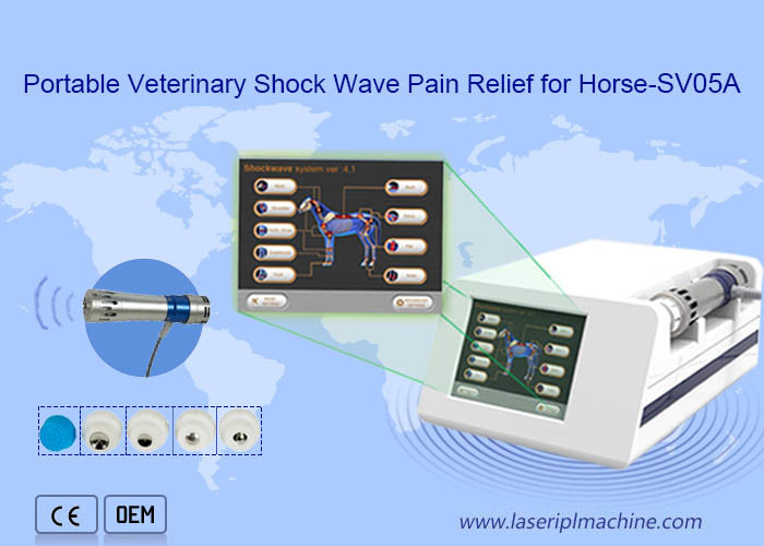 Máquina de diatermia equina de la onda expansiva de la invitación veterinaria