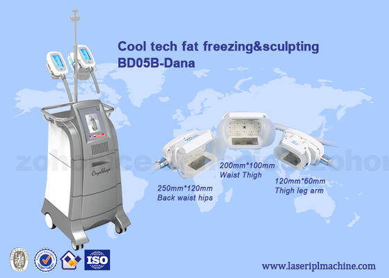Buen precio Cuerpo delgado fresco del cryolipolysis de 3 manijas del tamaño que esculpe el equipo/la máquina de los criolipolisys en línea