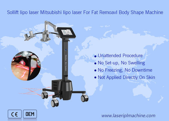 Buen precio belleza portátil de la máquina 6d Lipolaser Zerona de 220v Cryolipolysis en línea