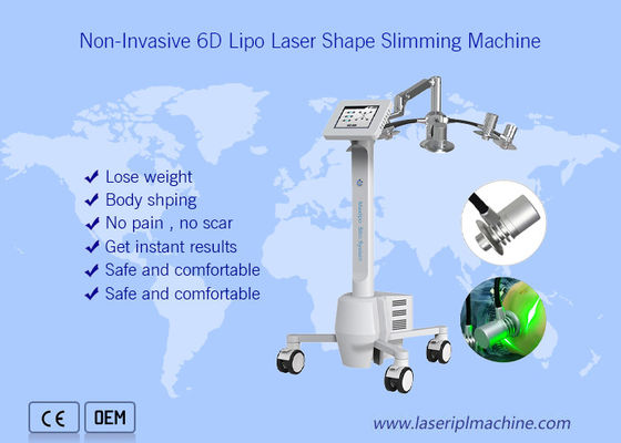 Buen precio 532nm no invasor Cryolipolysis que adelgaza belleza entera de la pérdida 6d del peso corporal de la máquina en línea