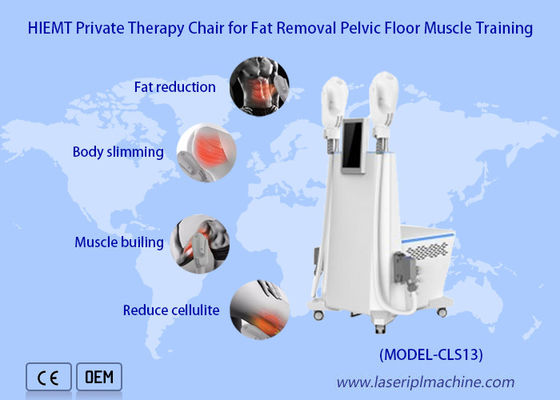 Buen precio Máquina de elevación de la pérdida de peso de Buttbuck de 2 manijas el ccsme que esculpe masaje del músculo en línea