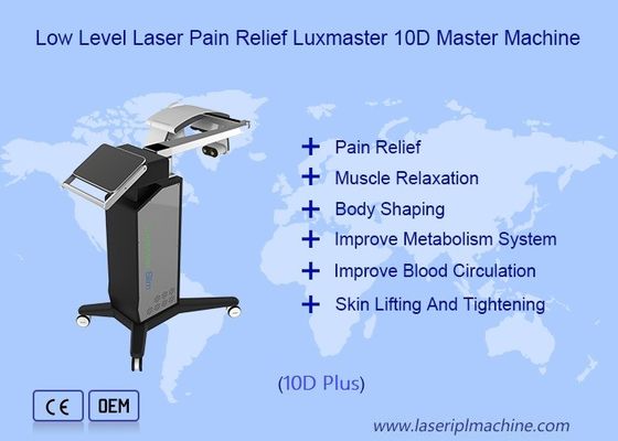 Buen precio Máquina baja 10d Luxmaster del alivio del dolor del laser fisio en línea