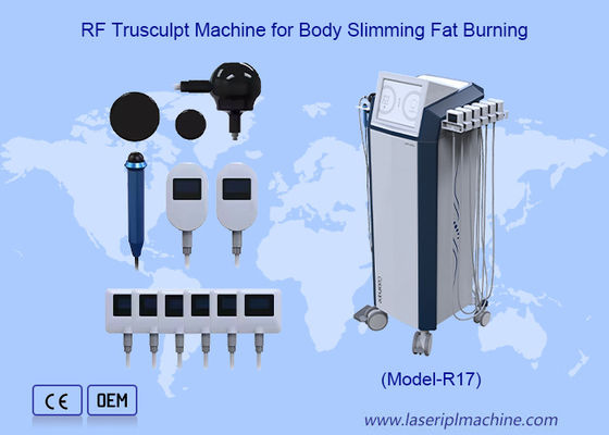 Buen precio Trusculpt Flex 3D pérdida de peso cara y cuerpo escultura RF Trusculpt máquina en línea