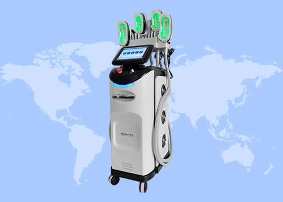 Buen precio Perdida de grasa para adelgazar el cuerpo Crioterapia Escultura corporal fresca Máquina de congelación de grasa 360 Cryo en línea
