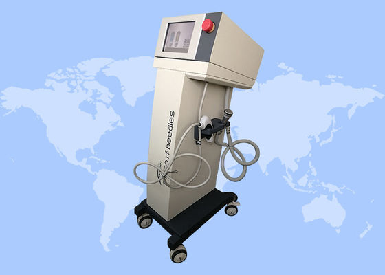 Buen precio Extirpación de arrugas Extirpación de estrías Antienvejecimiento Microneedling Máquina de RF fraccionada en línea