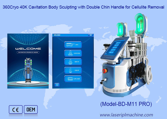 650nm - 550nm Cryolipolysis que adelgaza la máquina para formar/piel Tigtening del cuerpo