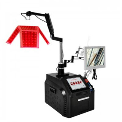 Buen precio El crecimiento del pelo/el folículo de pelo Pdt llevó belleza vertical del laser del diodo de la máquina de la terapia en línea