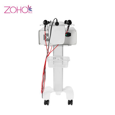 Buen precio Equipo gordo de la belleza del CET RF del RET del rejuvenecimiento de la piel de Shapping del cuerpo de Knif en línea