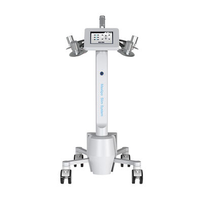 Buen precio 532nm retiro de las celulitis de la pérdida de peso de la máquina del laser de la luz verde Lipo en línea