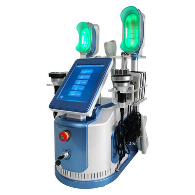 650nm - 550nm Cryolipolysis que adelgaza la máquina para formar/piel Tigtening del cuerpo