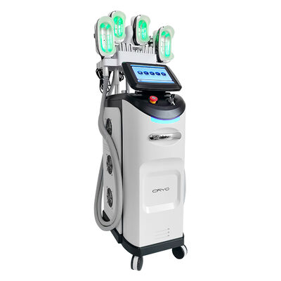 Buen precio Perdida de grasa para adelgazar el cuerpo Crioterapia Escultura corporal fresca Máquina de congelación de grasa 360 Cryo en línea